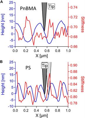 Friction and Mechanical Properties of AFM-Scan-Induced Ripples in Polymer Films